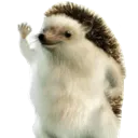 Hahayes hahayes Discord Emoji