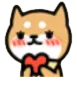 dog_heart