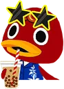 billsipteacoolstare billsipteacoolstare