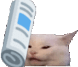 :bullycat: Discord Emote
