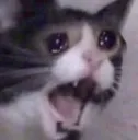 sadscream