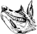 CSMKonKek