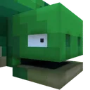 turtle turtle