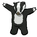 badger