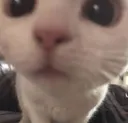 mlem
