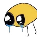 imcry