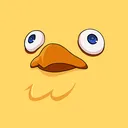 duchi