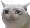 cri