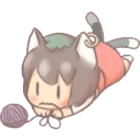 chenyarn chenyarn
