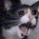 Screm screm Discord Emoji