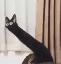 Catastrophe_LongNeckBoi