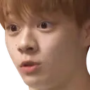 shionshook
