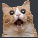 catwow catwow