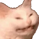 echvibrate