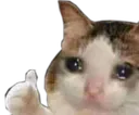 thumbsUpSchmuser