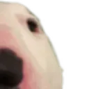 walter2 walter2