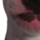 walter3