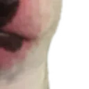 walter4