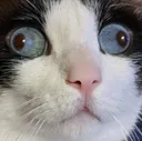 uhhh uhhh