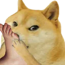 Dogefeet