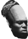 bigbrain