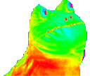 frog