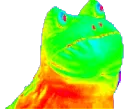 frog frog