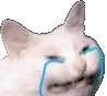 CryingCatOfFatGoddess CryingCatOfFatGoddess