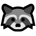 raccoon