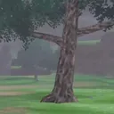 treemote treemote
