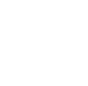 honk2