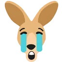 roo_cry
