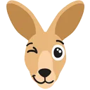 roo_wink
