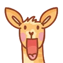 roo_gasp roo_gasp