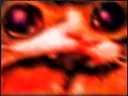 SCREA