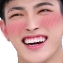 HJblush