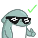 dolphinyes dolphinyes