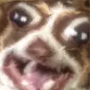 bubz8 bubz8