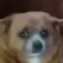 Saddoggo saddoggo Discord Emoji