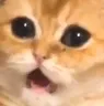 uhoh uhoh