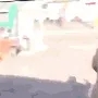 aseungminrun aseungminrun