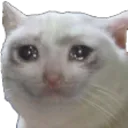 cri