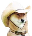 CowboyDoge