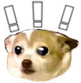 confuseddogwithexclamationmarks