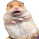 TZG_ScaredHamster Discord emoji
