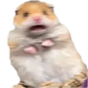 TZG_ScaredHamster Discord Emoji