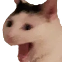 catKEK