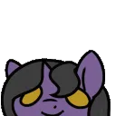 excitedbounce