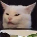 lmaoAri