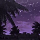 ushipeek